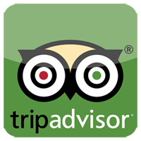 Driver in Sicily in to Tripadvisor